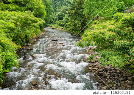 京都賀茂川上流風景 京都賀茂川上流風景 116205181