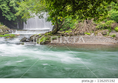 京都賀茂川上流風景 鞍馬川合流地点 京都賀茂川上流風景 鞍馬川合流地点 116205192
