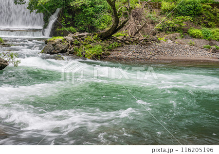 京都賀茂川上流風景 鞍馬川合流地点 京都賀茂川上流風景 鞍馬川合流地点 116205196