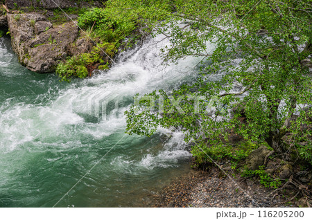 京都賀茂川上流風景 鞍馬川合流地点 京都賀茂川上流風景 鞍馬川合流地点 116205200