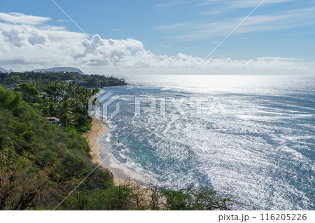 Observing the sea from a high cliff, revealing a sandy beach below 116205226
