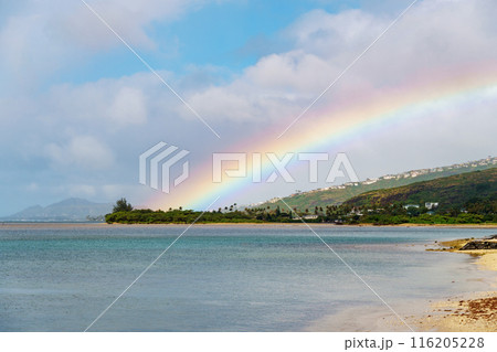 Mountains, rainbow, water a picturesque scene in the background 116205228