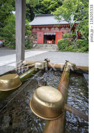 鎌倉246 荏柄天神社3 鎌倉246 荏柄天神社3 116205338