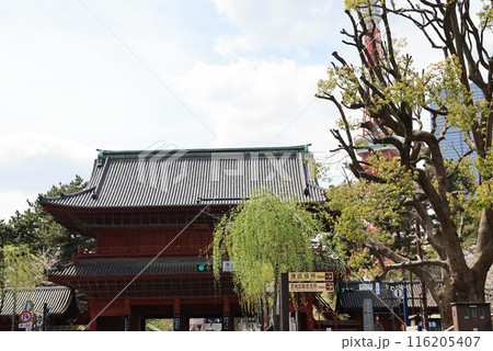 東京都港区芝の増上寺三解脱門の建物 東京都港区芝の増上寺三解脱門の建物 116205407