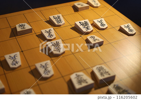 将棋の第95期棋聖戦第3局投了棋譜 116205602