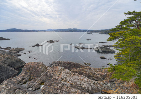 碁石海岸 116205603