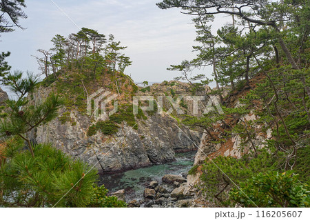 碁石海岸 116205607