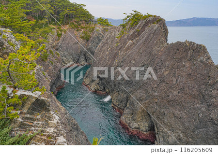 碁石海岸 116205609