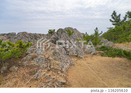 碁石海岸 116205610