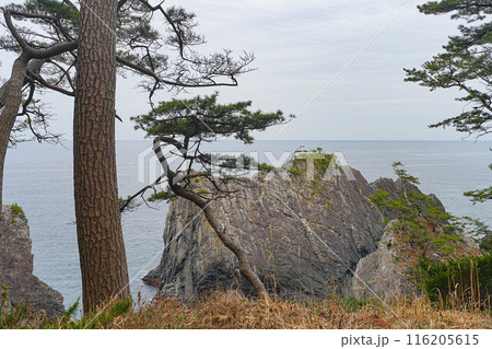 碁石海岸 碁石海岸 116205615