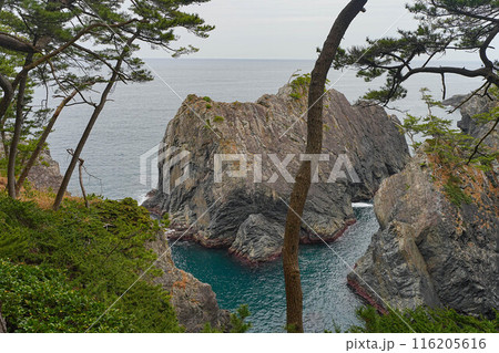 碁石海岸 碁石海岸 116205616
