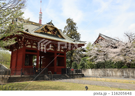 東京都港区芝公園に建つ旧台徳院霊廟惣門 東京都港区芝公園に建つ旧台徳院霊廟惣門 116205648