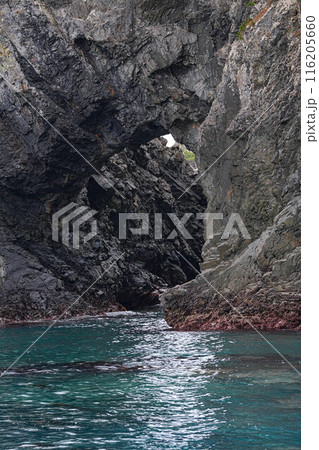 碁石海岸 116205660