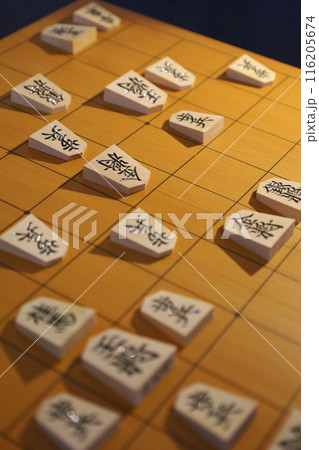 第95棋聖戦第3局投了棋譜の盤面 第95棋聖戦第3局投了棋譜の盤面 116205674