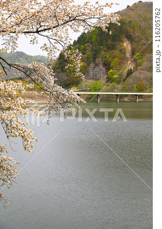 湯田の春 116205762