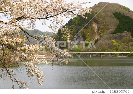 湯田の春 116205763