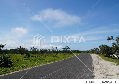 バヌアツの風景　エファテ島 116205814