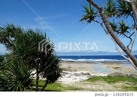 エファテ島の海 バヌアツ エファテ島の海 バヌアツ 116205815