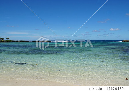 イートンビーチの風景 バヌアツ イートンビーチの風景 バヌアツ 116205864