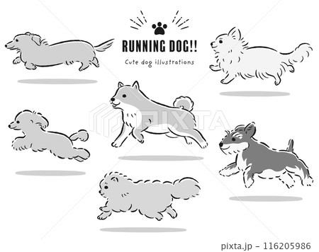 走る犬たちの手描きイラストセット(白黒) 走る犬たちの手描きイラストセット(白黒) 116205986