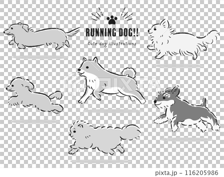 走る犬たちの手描きイラストセット(白黒) 走る犬たちの手描きイラストセット(白黒) 116205986