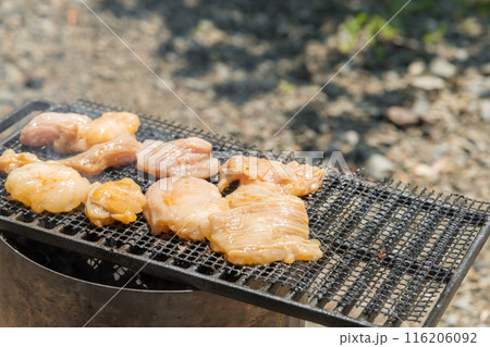【オートキャンプ場でソロキャンプ 網で白モツを焼く】 【オートキャンプ場でソロキャンプ 網で白モツを焼く】 116206092