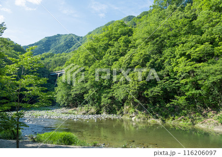 【初夏の道志川】 【初夏の道志川】 116206097