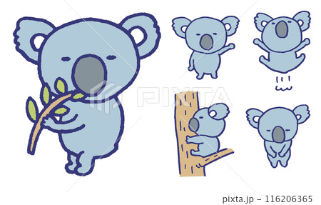 丸いフォルムのかわいいコアラのキャラ素材 116206365