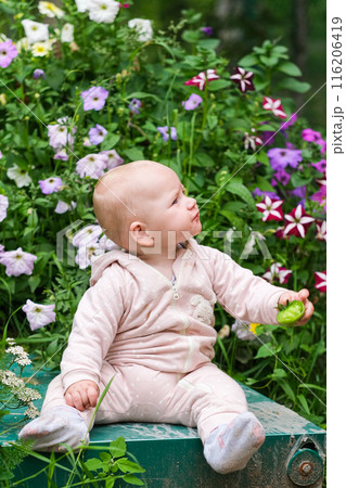 happy child girl holding tomatoes on background of green plants 116206419