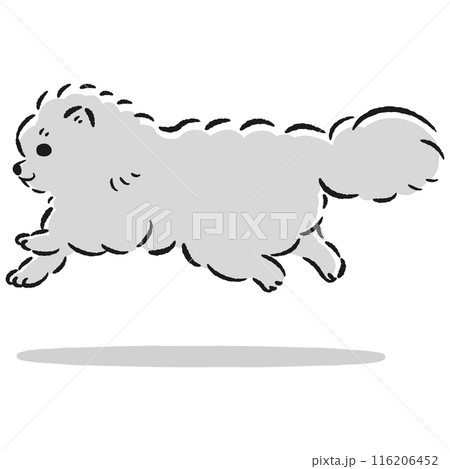 走るポメラニアンのかわいい手描きイラスト 116206452