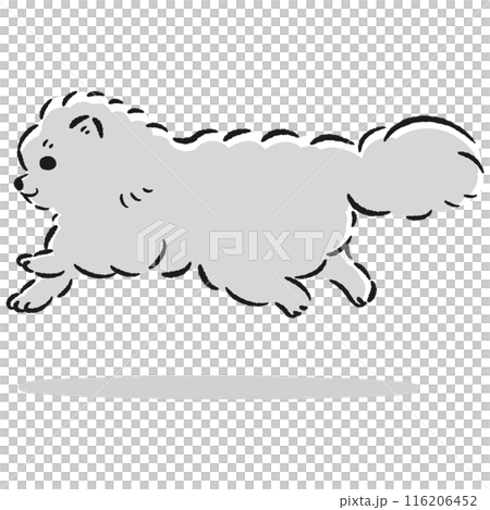 走るポメラニアンのかわいい手描きイラスト 116206452