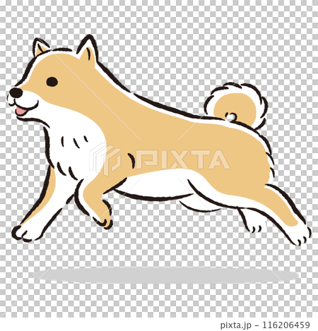 Cute hand-drawn illustration of a running Shiba Inu 116206459
