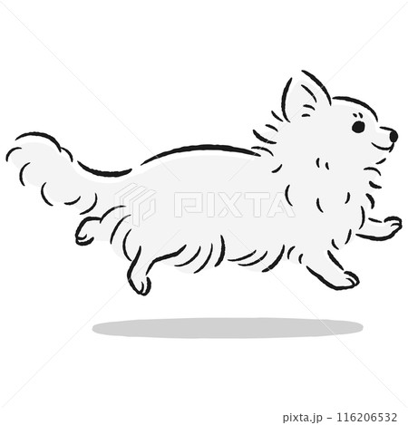 走るチワワのかわいい手描きイラスト 116206532