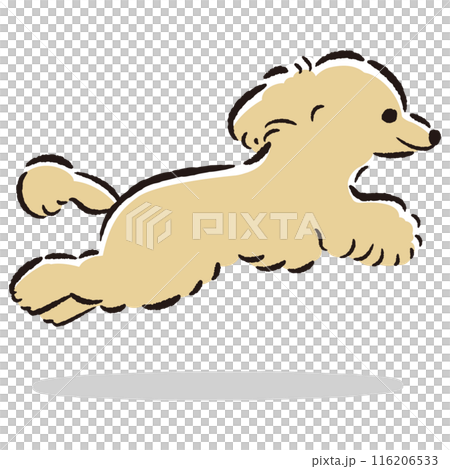 可愛的手繪插圖，一隻正在奔跑的玩具貴賓犬 116206533