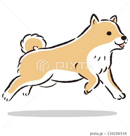 走る柴犬のかわいい手描きイラスト 116206534