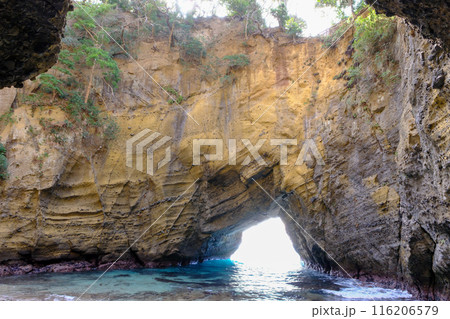 洞窟から天窓の風景 116206579