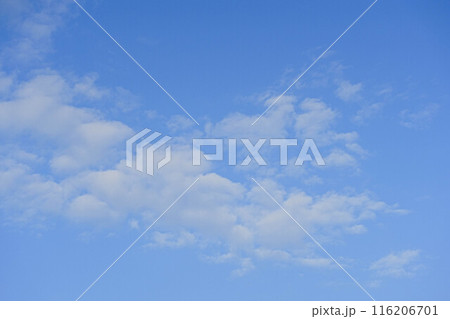 空 空 116206701