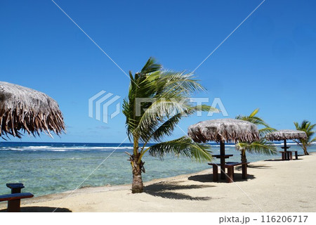 エファテ島の海の風景　バヌアツ 116206717