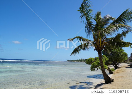 エファテ島の海の風景 バヌアツ エファテ島の海の風景 バヌアツ 116206718