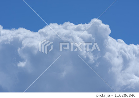 夏の青空と白い雲 116206840