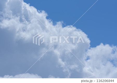 夏の青空と白い雲 夏の青空と白い雲 116206844