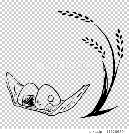 一套米飯和飯糰，手繪插圖 116206894