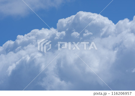 夏の青空と白い雲 116206957