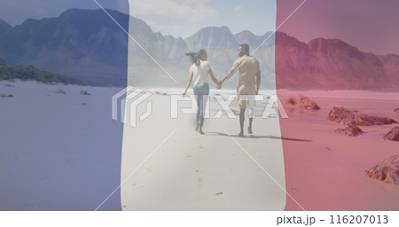 Image of flag of france and fireworks over happy biracial couple walking at beach 116207013
