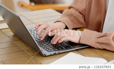 自宅でノートパソコンを使う男性 116207603