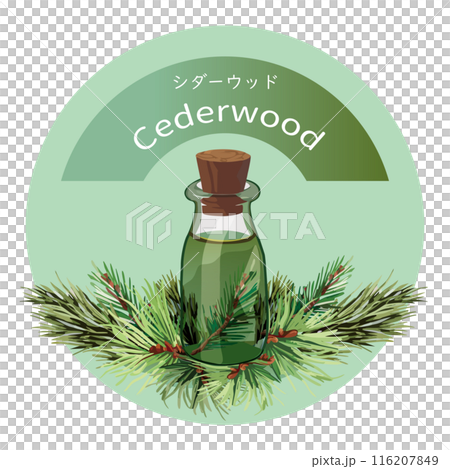 Cedarwood and cedarwood essential oil bottle, essential oil, aroma, aromatic plants 116207849
