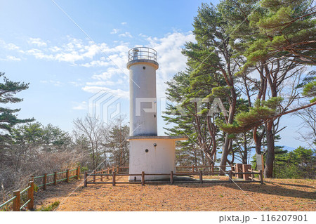 真崎海岸 真崎海岸 116207901