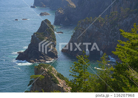北山崎 116207968