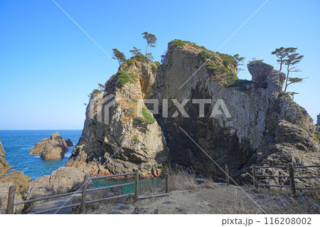 北山崎 116208002