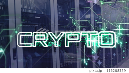 Image of crypto text with connected arrows and computer language over data server racks 116208339